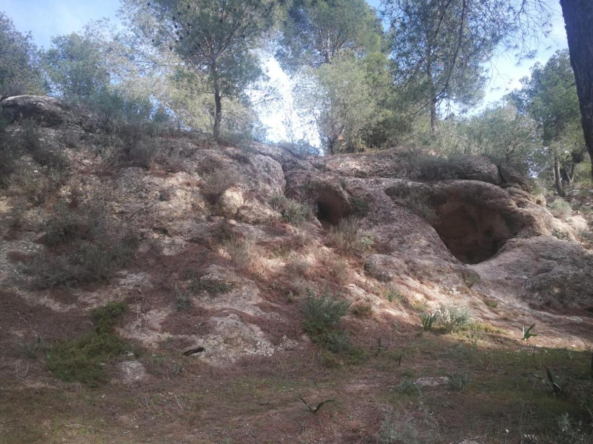 Alojamiento Rural El Paraiso Del Chorro Luaran gambar